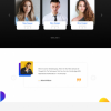 phlox pro teması wordpress