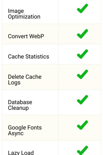 wp fastest cache premium