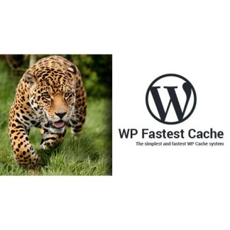 wp fastest cache satın al