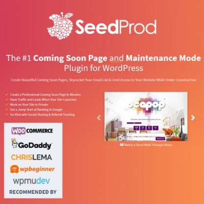 SeedProd wordpress açılış ve çok yakında sayfası eklentisi