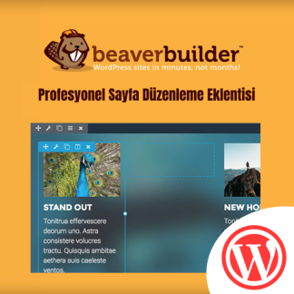 beaver builder sayfa düzenleme eklentisi satın al